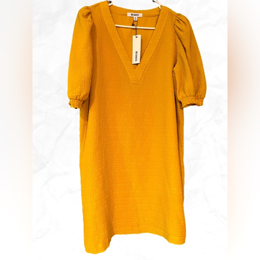 BB Dakota Women’s Dress